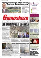 GÜMÜŞKOZA