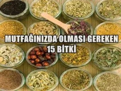 15 bitki