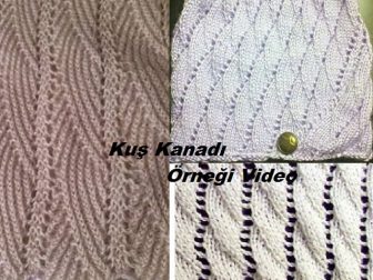 Kuş Kanadı Örneği Video