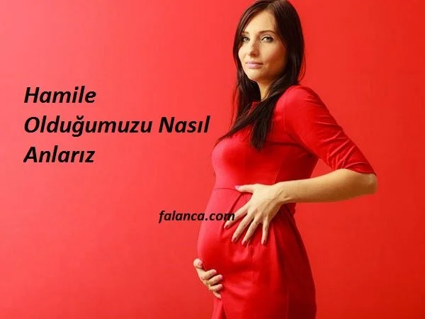 hamile oldugunu nasil anlarsin