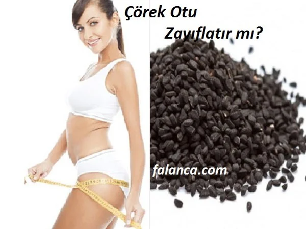 corek otu zayiflatirmi