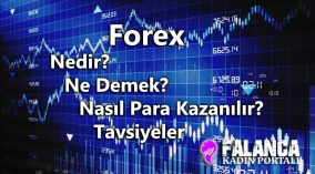 Forex Nedir? Foreks Ne Demek? Nasıl Para Kazanılır?