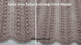 Dallar Arası Kahve Çekirdeği Yelek Modeli