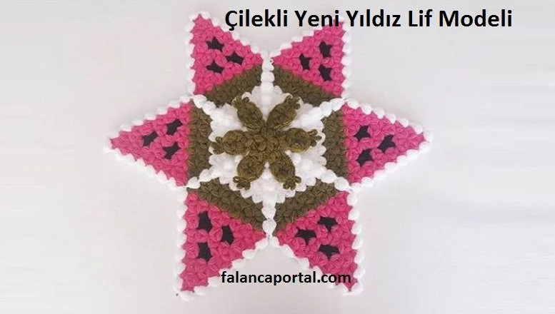 cilekli yeni yildiz lif modeli 1