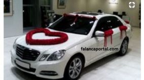 kalpli gelin arabasi modelleri 8