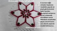 Örümcekli Yıldız Lif Modeli