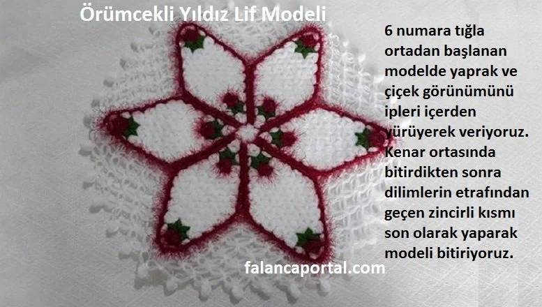 orumcekli yildiz lif modeli 1