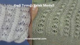Kedi Tırmığı Yelek Modeli