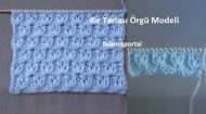 Kır Tarlası Örgü Modeli
