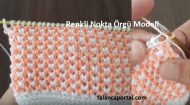 Renkli Nokta Örgü Modeli