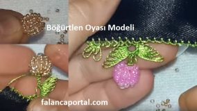 Böğürtlen Oyası Modeli