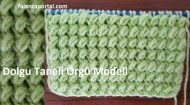 Dolgu Taneli Örgü Modeli