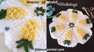 Ananas Lif Modeli