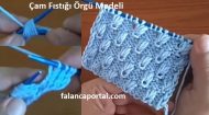 Çam Fıstığı Örgü Modeli