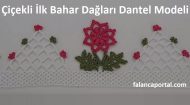 Çiçekli İlk Bahar Dağları Dantel Modeli