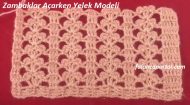 Zambaklar Açarken Yelek Modeli