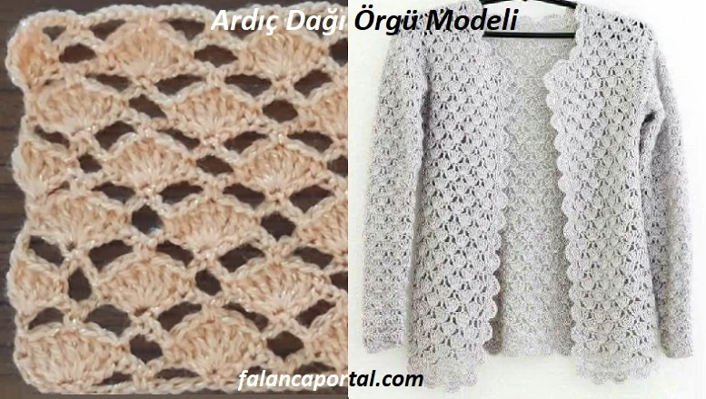 ardic dagi orgu modeli 1