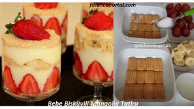 Bebe Bisküvili Mangolia Tatlısı