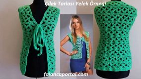 Çilek Tarlası Yelek Örneği