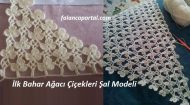 İlk Bahar Ağacı Çiçekleri Şal Modeli