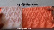 Kuş Tüyü Örgü Modeli