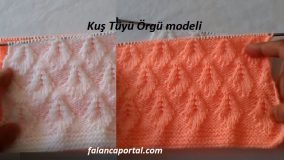 Kuş Tüyü Örgü Modeli