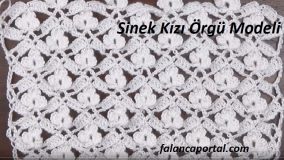 Sinek Kızı Örgü Modeli