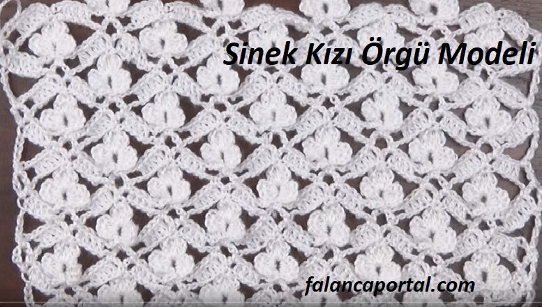 Sinek Kızı Örgü Modeli