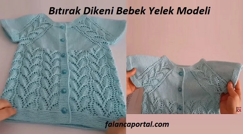 bitirak dikeni bebek yelek modeli 1