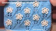 Cennet Çiçekleri Örgü Modeli