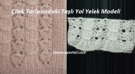 Çilek Tarlasındaki Taşlı Yol Yelek Modeli