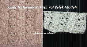Çilek Tarlasındaki Taşlı Yol Yelek Modeli