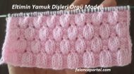 Eltimin Yamuk Dişleri Örgü Modeli