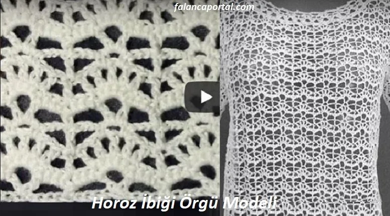 horoz ibigi orgu modeli 1