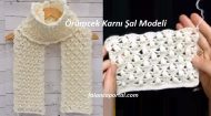 Örümcek Karnı Şal Modeli