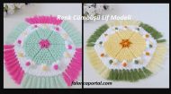 Renk Cümbüşü Lif Modeli