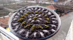 Süt Şerbetli Yeni Nesil Baklava Tarifi
