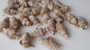 Çıtırtısı El Kıskandıran Börek Tarifi