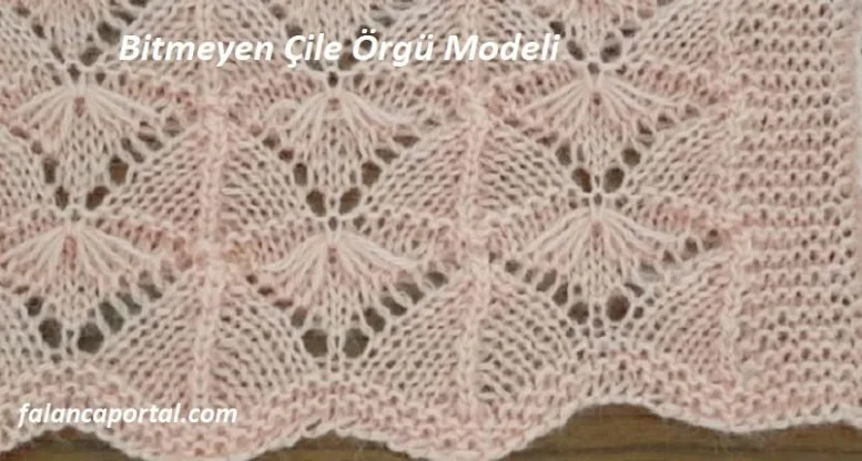 bitmeyen cile orgu modeli 1