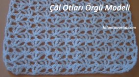 Çöl Otları Örgü Modeli