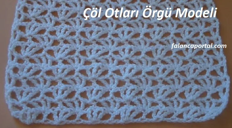 col otlari orgu modeli 1