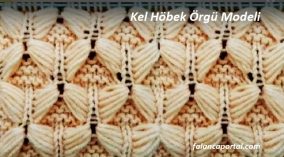 Kel Höbek Örgü Modeli