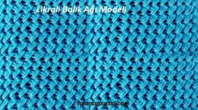 Likralı Balık Ağı Modeli