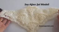 Soy Ağacı Şal Modeli