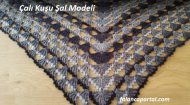 Çalı Kuşu Şal Modeli