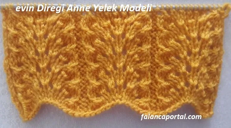 evin diregi anne yelek modeli 1