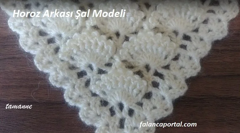 horoz arkasi sal modeli 1