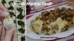 Ispanak Mantısı Tarifi