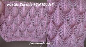 Kaktüs Dikenleri Şal Modeli