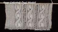 Kaysı Çekirdeği Örgü Modeli